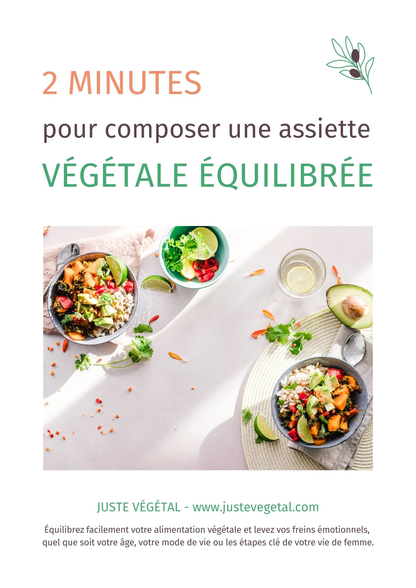 Guide gratuit - 2 minutes pour composer une assiette végétale équilibrée : la méthode simple et efficace pour équilibrer facilement et rapidement tous vos repas végétaux