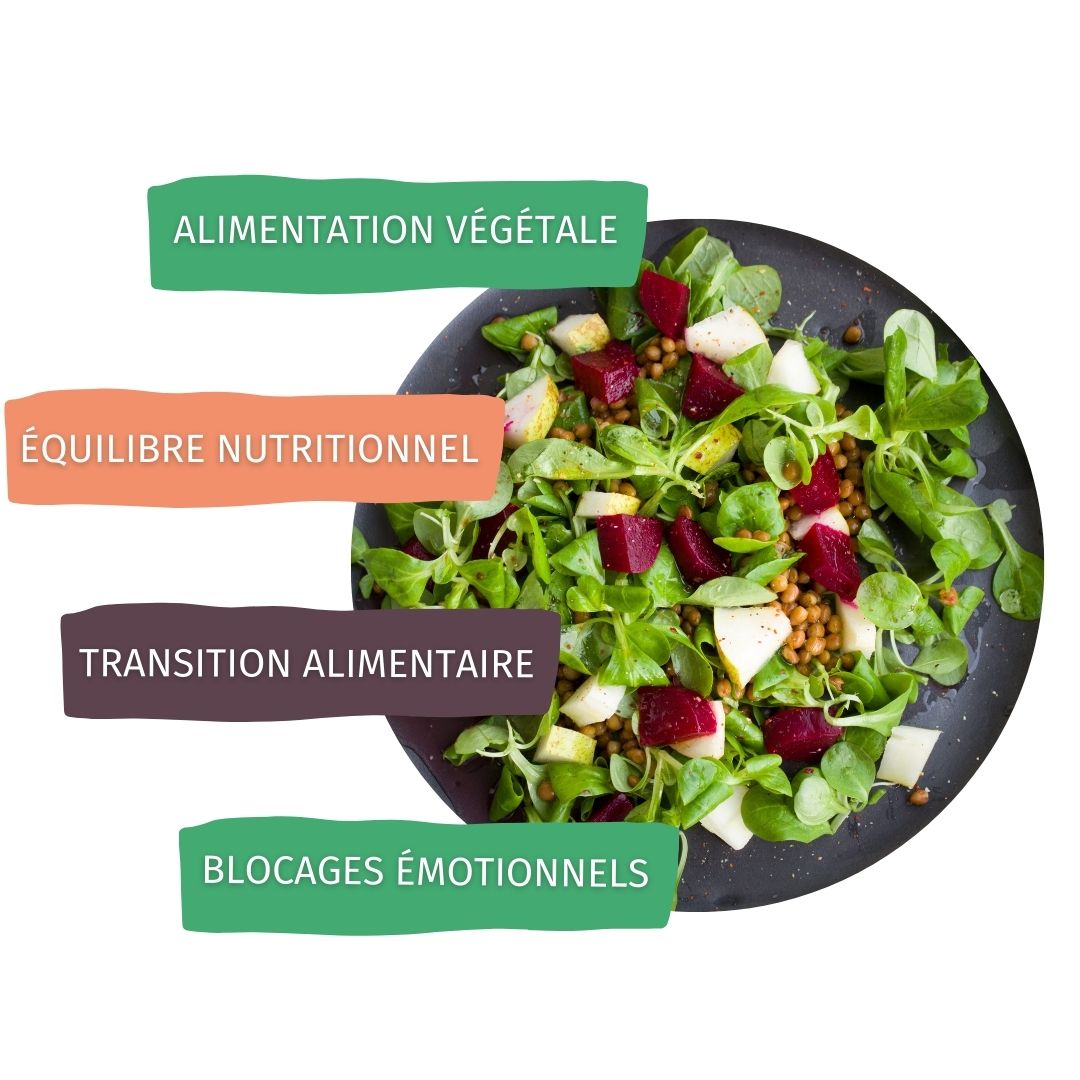 alimentation végétale - transition alimentaire - équilibre nutritionnel - blocages émotionnels